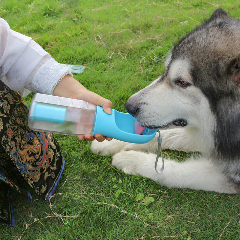 Portable Pet Feeder with water