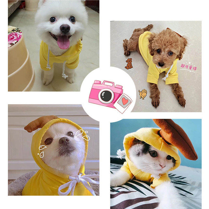 Cute Pet Outfits for Winter