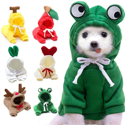 Cute Pet Outfits for Winter