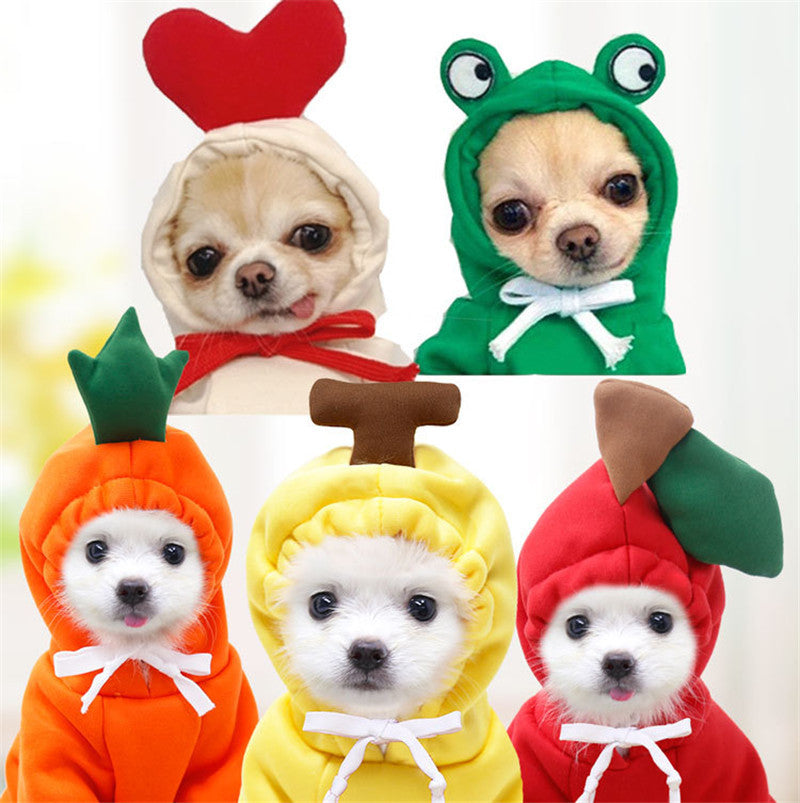 Cute Pet Outfits for Winter